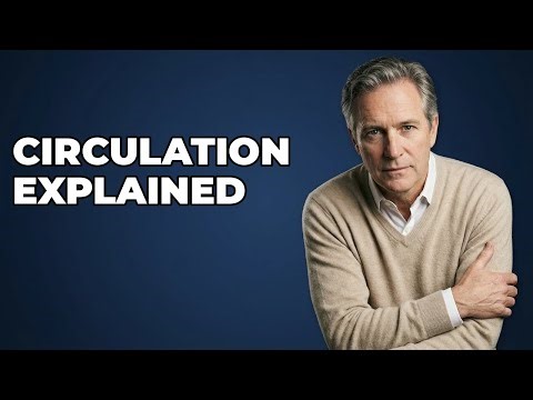 How Do Hemodynamic Parameters Reflect Overall Circulatory Status?