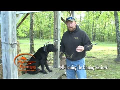 Vid 10 Start of Force Fetch