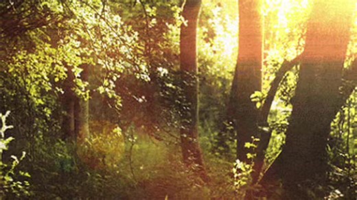 march is here 🥹🥹🥹 i hate winter #spring #gif #fyp #xycba #viral | spring