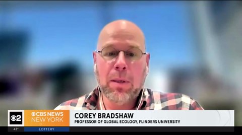 Scientists trying to bring back dire wolves