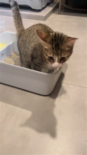 Choosing the Best Spot for Your Waste