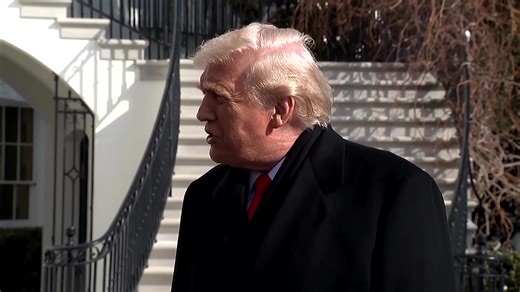 Trump said he would be 'watching over' the investigation into the killing of Alex Pretti in Minneapolis | Reuters