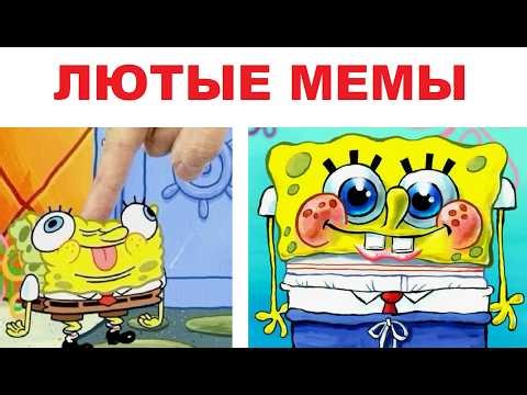 Fierce memes. Live like SpongeBob SquarePants.