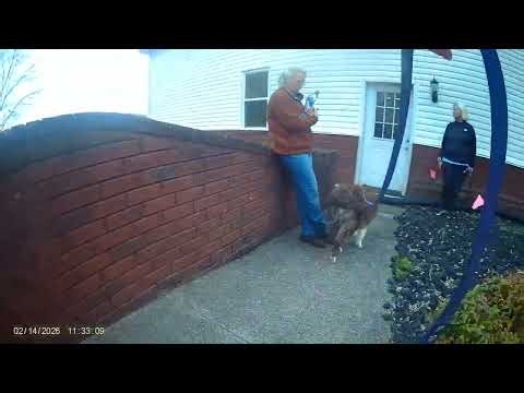 Detective NQ 2026 12 14