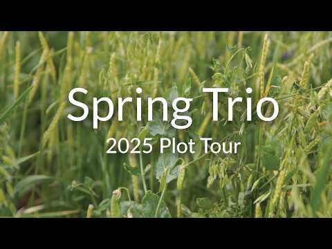 Spring Trio (Oats/Peas/Barley)