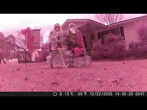 December Trail Cam 2025