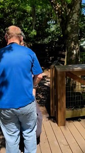 899K views · 4.9K reactions | We were huffing and puffing Darla (deer hbc) and I are not small girls | Secret Squirrel Wildlife Rehabilitation | Facebook