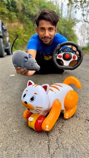 Rc mouse and Remote Control Cats Unboxing