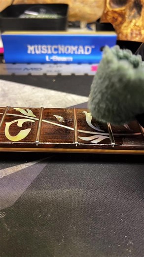How to Properly Oil Your Fretboard