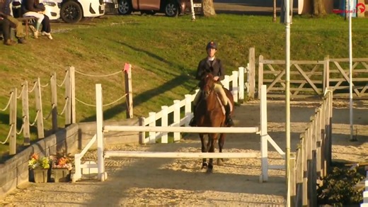 Wales & West - End of Season Derby Show, you didn't disappoint! 💫 🥇Sarah Gairdner & Westpoint Quick Lets Party made the most of the Saturday sunshine to deliver an epic round in the Welsh 1.20m All Weather Derby 🏆 Drawn last to go, only a clear would do to take the win and that's just what they delivered💪 📺 Relive all the action in the Archive on ClipMyHorse.TV 🔗watch.clipmyhorse.tv/Wales-and-West-Derby-Show2025 #ClipMyHorse #jumping #derby | ClipMyHorse.TV Great Britain