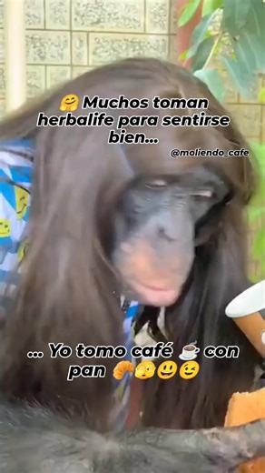 3.2K views · 52 reactions | 珞Muchos toman herbalife para sentirse bien, yo tomo #cafe ☕️ con pan 縷﫣 | Moliendo_cafe | Facebook