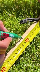 DIY Gardening Tool for Easy Routine!