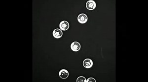 1.1K views · 11 reactions | Self-aligning active agents with inertia and active torque. Authors: Jeremy Fersula, Nicolas Bredeche, and Olivier Dauchot. Extending the study of the inertial effects on the two-dimensional dynamics of active agents to the case where self-alignment is present. Discover more in Physical Review E: https://go.aps.org/4f5K8Xn. | American Physical Society | Facebook