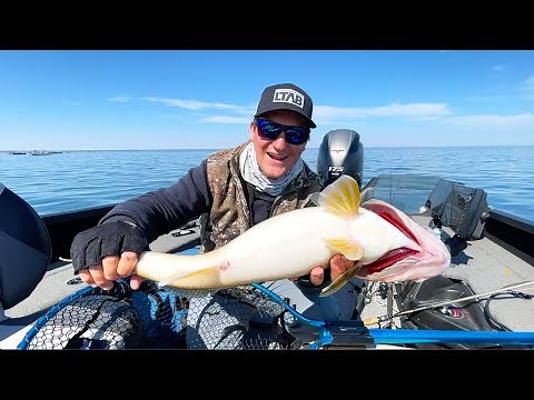 POSSIBLY THE BEST 4 WALLEYE BAITS EVER! (Spring Walleye Fishing)