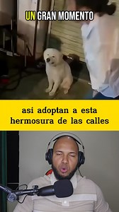 893K views · 68K reactions | Ellos adoptan a los perros que encuentran en la calle ✨, dándoles un hogar lleno de amor y esperanza.  Cada rescate es una nueva oportunidad de vida para estos fieles amigos.  #sigueme #siky #AdoptaNoCompres #AmorAnimal #ContraElAbandono | Siky | Facebook
