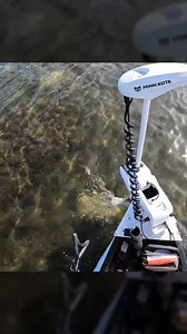 Trolling Motor Tip ➡️ When fishing shallow water, don't start your trolling motor at full speed. Start it at a low speed, then gradually increase it to the speed you want. The full blast will put a big pulse into the water and is likely going to spook the fish. For more fishing tips, be sure to follow Salt Strong or check us out on YouTube! | Salt Strong