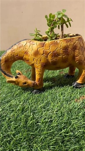 gardening#diy#jade plant grow in beautiful planter#giraff planter#vinca#gardening