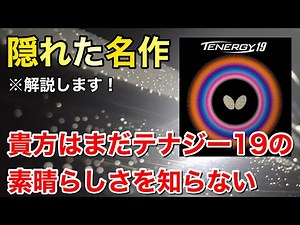 【激推し】テナジー19って実はめちゃくちゃ使いやすいんだぜ！