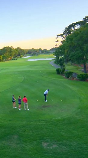 There’s no better way to celebrate National Golf Lovers Day than playing on one of our three award-winning golf courses, all in one exceptional location! ⛳️🏝️🏌️‍♂️Visit PalmettoDunes.Com/Golf to learn more about reserving your tee time online and planning your next trip to Palmetto Dunes. #golf #reels #nationalgolfloversday #golflover #golflife #golflesson #golfcourse #roberttrentjones #georgefazio #arthurhills | Palmetto Dunes Oceanfront Resort