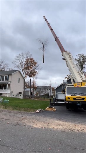 Jason, (five of eight raw footage video from Jason, thank you Jason) and American Arborpro LLC is relentlessly pursuing quality and efficiency. Satisfaction Guaranteed!!! Par Excellence is for reaching our goals to serve, be of service, quality to the highest calibration and respect ourselves and you, who trust us with your properties. Thank you so much! #americanarborprollc #americanarborpro #pennsylvaniaarborists #pennsylvaniaarborist #arbor #arborists #arborist #avant #treeservices #treeservi