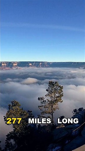 How Was the Grand Canyon Formed? 🏜️ (The River Didn't Dig Down)