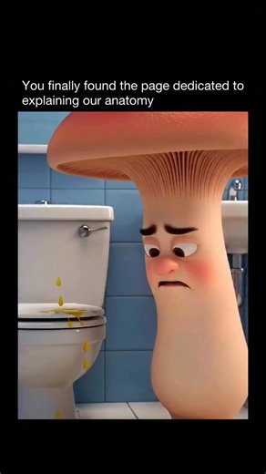 Explaining Human Anatomy on Instagram: "What seems harmless can actually make a mess you don’t notice. When you pee standing up, tiny droplets bounce back from the bowl and water surface—a “micro-splash” that can land on your skin, clothes, and nearby areas, spreading bacteria and causing lingering odors. Simple habits like standing a bit farther back, aiming at the side of the bowl, or even sitting can significantly reduce splash and help keep your bathroom cleaner. Real hygiene isn’t just what