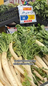 Rainbow Cash & Carry on Reels