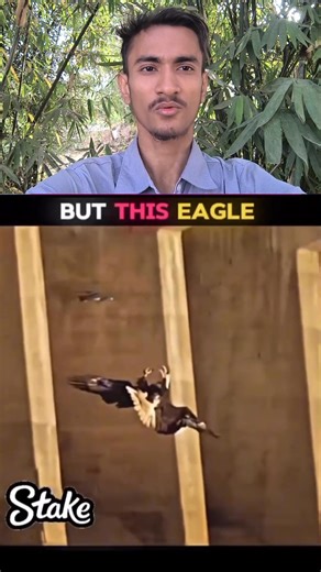 Folcan Vs other #reels #short #videos | Comedy.33