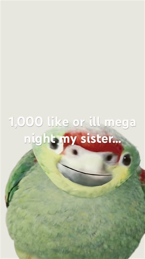 Please don’t she will beat me up