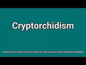 'Cryptorchidism' Meaning and Pronunciation