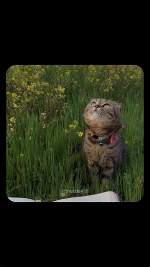 Hãy dành cho bản thân những câu từ đẹp đẽ nhất #donglucmoingay✨ #viral #tiktok