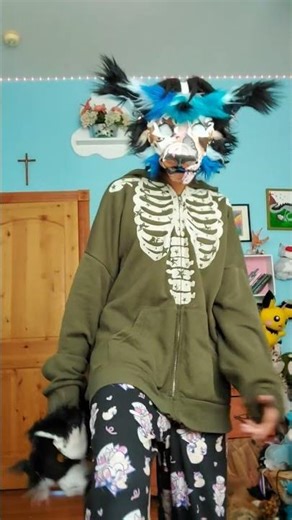 border collie for sale