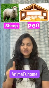 🏠❓ Do you know where animals sleep at night? #AnimalHomes #KidsLearning #EarlyEducation #EducationalReels #fblifestyle | Genius Phonics and Grammar Classes