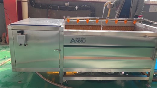 Industrial Commercial Turmeric Ginger Cassava Peeling &amp; Washing Machine PLC Controlled High Efficiency 220V-440V Engine Motor