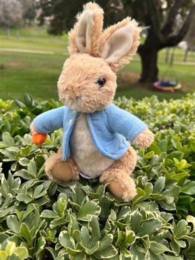 Peter Rabbit the World of Beatrix Potter. Plush Toy. 8.5" Height X 4.5" Wide - Etsy