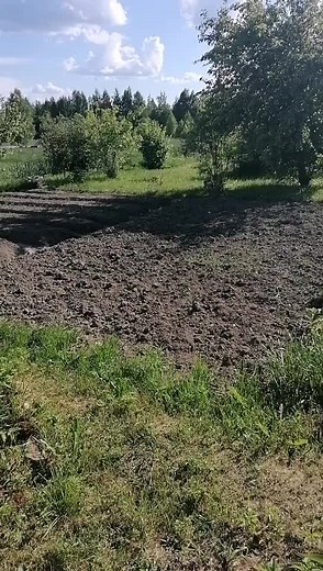 Я устал я ухожу #огород #устал