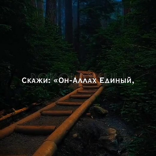 🤍#pokoi_dyshi_1 #рек #рекомендации #ислам #исламскиевидео #ислам_религия_мира_добра #верниськАллаху #послушай #коран #чтениекорана #qoran