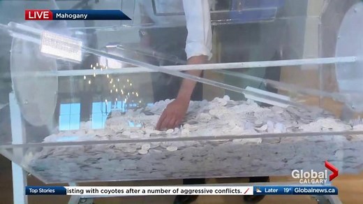 Winners announced in Foothills Hospital Home Lottery