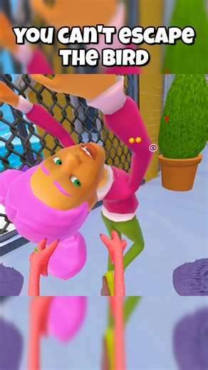 You Can’t Escape The BIRD 🐦 #iambird