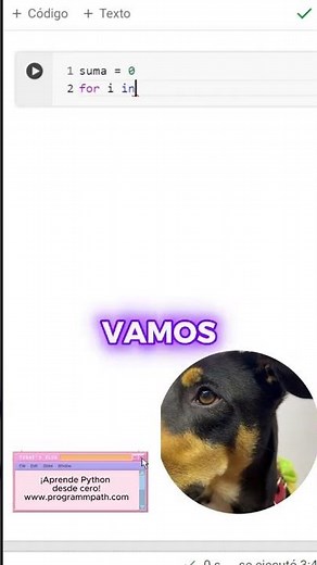 Descubre el poder del ciclo for 🔄 en Python: