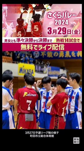 #高校バレー #さくらバレー #私学バレー 私学日本一をかけて熱闘🔥準々決勝〜決勝を毎日新聞デジタルで無料ライブ配信✨→https://mainichi.jp/sakura-volley2024 #バレー #バレーボール #volleyball #毎日新聞デジタル #排球