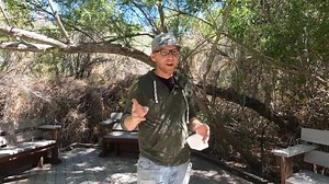 10K views · 171 reactions | Visiting The Big Morongo Canyon Preserve and beautiful Morongo Valley, California This is a spot I visit regularly and really enjoy the trails. You wouldn’t expect all of this lush vegetation in the desert. It’s definitely worth a visit! #morongovalley #naturepreserve #hiking #nature #desertlife #bigmorongocanyonpreserve | Paul Karr, Your Desert Home Source | Facebook