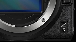 Nikon Z 6 for Wildlife Photography Versus the D850