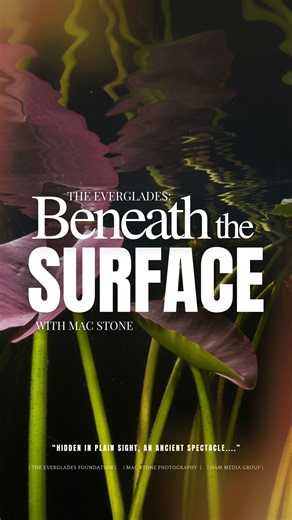 “The fact is that most people don’t really know the Everglades…” So, get to know 'The Everglades: Beneath the Surface’ with our award-winning short documentary that follows Mac Stone Photography’s journey to capture the perfect shot. Follow along these next few weeks as we venture underwater, through the marshes and up the air to photograph our breathtaking one-of-a-kind Everglades. Head to the link below to watch the full documentary. 🔗 https://youtu.be/_Qr6iQsox80?si=QiHac-HZpr-gHaUq | Evergl