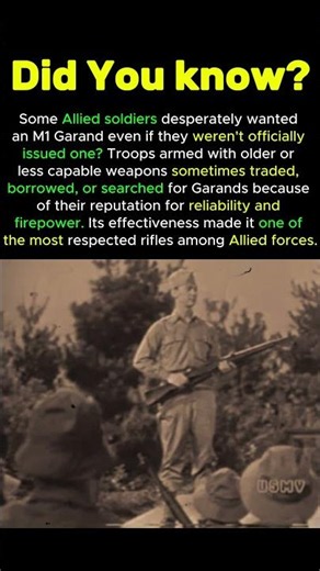 Allied Soldiers Fought to Get This Rifle