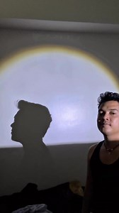 Hand shadow playtime again! 🦍🐒 Na enjoy ko pag gawa nito! Yung pagkuha ng kuto! Haha 🤣❤️ #reelsfbシ #trendingreelsvideo #GlobalTalent #PGT #talent #pinoy | Shadow Ace