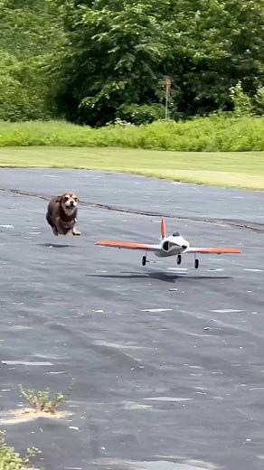Tail Heavy Productions on Instagram: "One day he’s going to rip a plane out of the sky… #flying #flight #aviation #aviationphotography #aviationdaily #aviationgeek #avgeek #airplane #plane #aircraft #instaplane #instaflight #instaaviation #instagramaviation #rc #rcairplane #rcplane #rcmodel #rclife #rchobby #rchobbies #radiocontrol #modelaircraft #modelairplane #modelplane #rcflying"