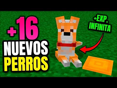 ✅ NUEVOS PERROS para Minecraft Bedrock - ADDONS ► 1.21+