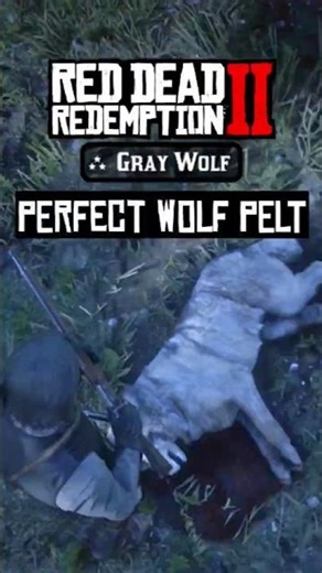 Perfect Wolf Pelt EVERY TIME — Easy RDR2 Trick! #gaming #rdr2 #rdr2wolfpelt #tricks #gaming