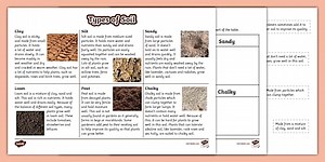 Types of Soil Facts and Activity Sheet